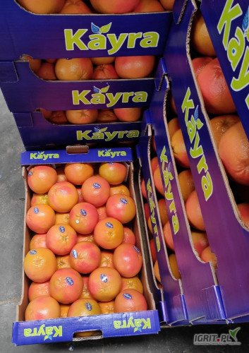 Sprzedam - GRAPEFRUIT CZERWONY Turcja. Ilości paletowe i całosamochodowe pod zamówienie.