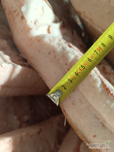 Słonina wieprzowa bardzo gruba 4cm+