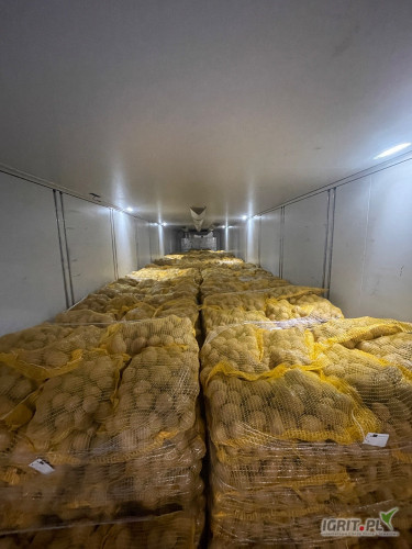 Sprzedam około 600 ton ziemniaków 5+ Soraya, Melody. Worek 10,15,25 kg szyty lub big bag. Ziemniaki szczotkowane z badaniami Fito.
