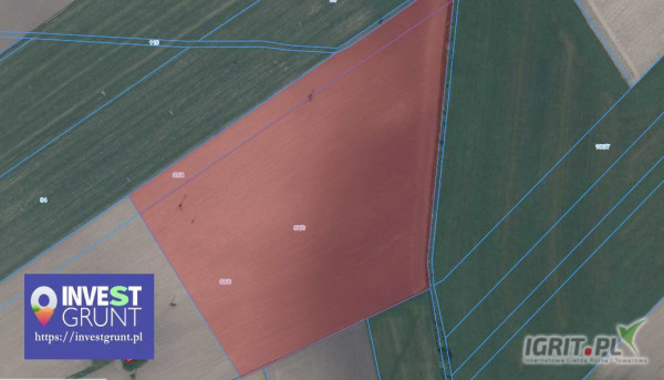 [7,22 ha] przetarg nieograniczony na 8-miesięczną dzierżawę gruntów rolnych [powiat grodziski, woj.mazowieckie] użytek RIII,RIV (2...