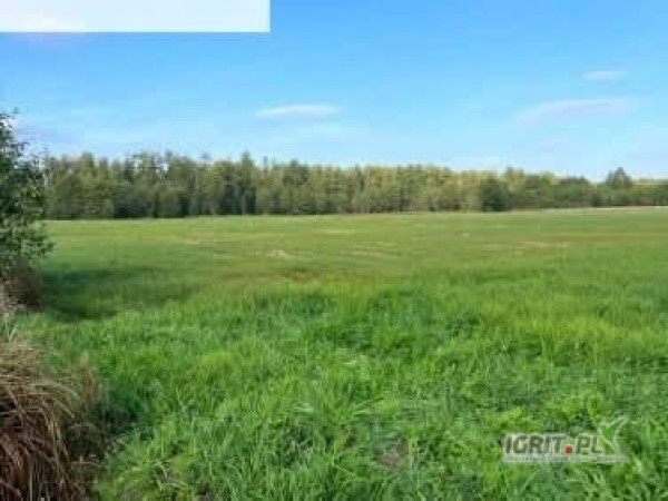 Sprzedam działkę rolną o powierzchni 70 arów znajdująca się w miejscowości Wola Zabierzowska gmina Niepołomice działka znajduje...