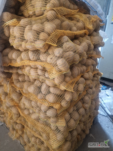 Sprzedam Satina i Constance w worku szytym 15kg lub w bb.

