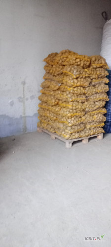Sprzedam ziemniaki paszowe 210 worków na paletach 