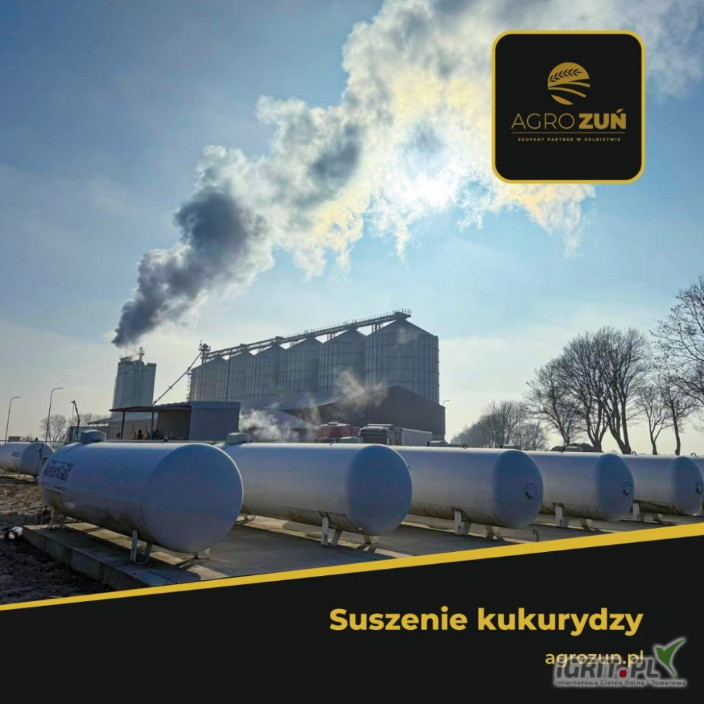 Firma Agro Zuń zakupi zboża paszowe i konsumpcyjne. Kupujemy ilości samochodowe na terenie całego kraju, oferujemy szybki i sprawny...