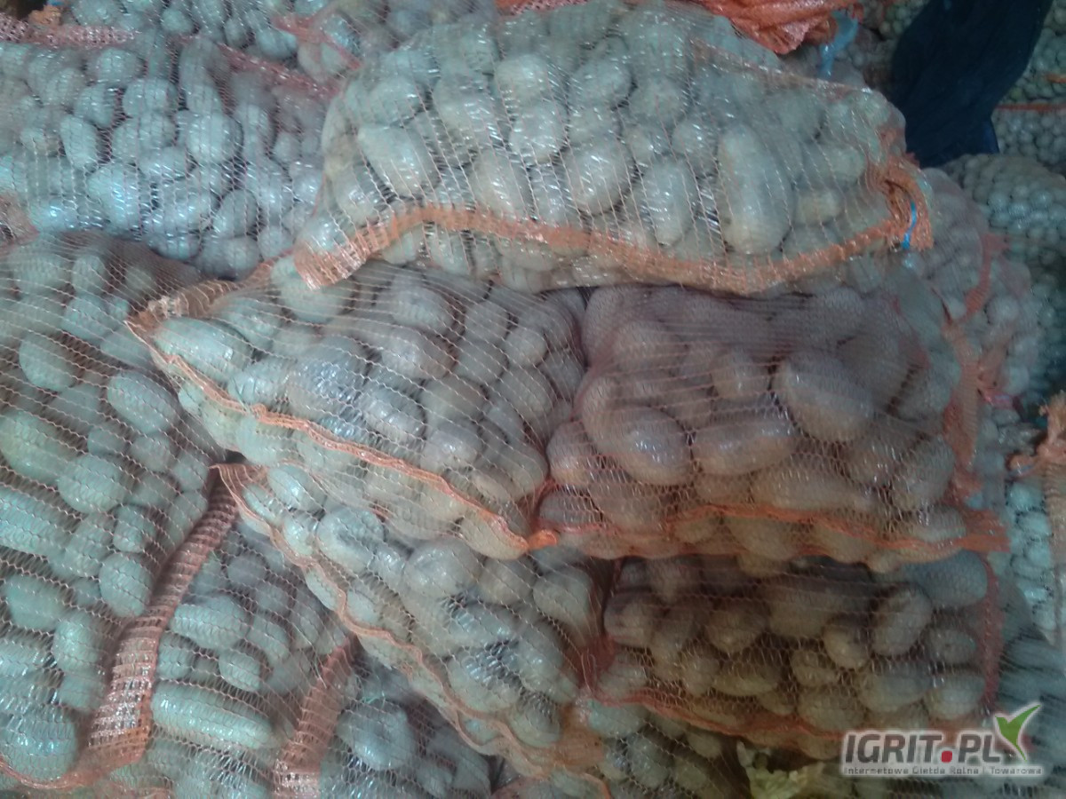 Ziemniaki paszowe w workach 25 kg czyste bez zanieczyszczeń m