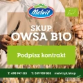 BIO Owies nowe zbiory 2025 - 1100 zł netto / tona
