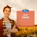 NOWE CENY SKUPU OWSA – ZBIORY 2025!
