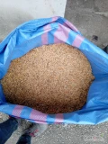 Sprzedam Owies czysty odsiany workowany po 40 kg 2500kg