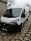 Usługi transportowe Fiatem Ducato Max  , znajomość rynku warzyw i owoców na Giełdzie Hurtowej Bronisze . Pomogę wynegocjowac dobrą...