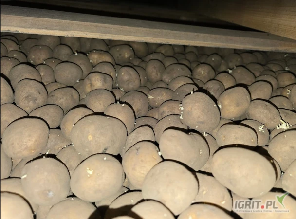 /images/posts/2025/05/2011334/E9xRK83EmPvNLtRexSIo8cBqrhGyAG6pui3Mgi0z.jpeg
