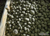 Ziemniaki Vinieta rozmiar 35-45 - luz, bigbag, worki