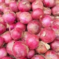 Product Name: High Quality Fresh Onions In Bulk, Cheap Red And Yellow Onions, New Harvest

