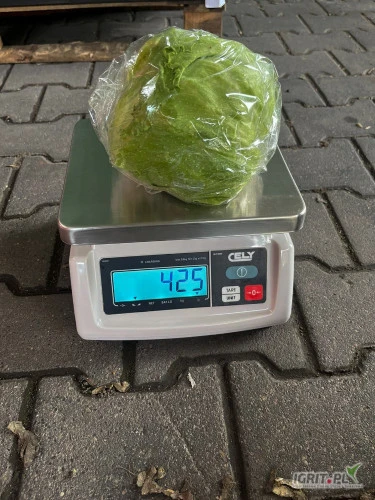 /images/posts/2024/06/1867503/JOM01E9j467zw3PIO17brkf7JX83EOnVUAUAK3cV.jpeg