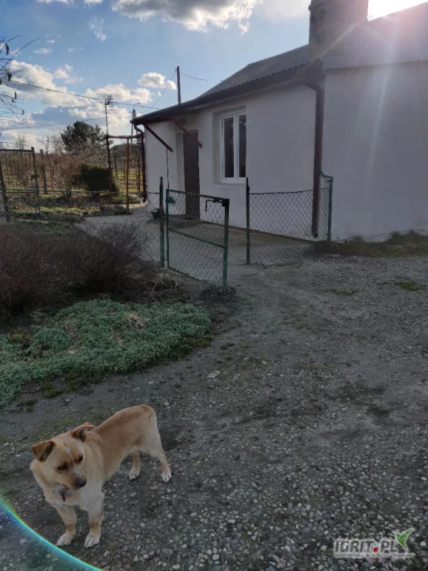 /images/posts/2025/03/1988963/Aa5HpKXDZbP3EdSgL3wWMzeL6d5kyLXNTei4uME9.jpeg