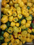 Sprzedam paprykę mix 7zl/kg więcej informacji pod nr tel 727694440.