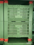 Sprzedam NOWE sprzynie plastikowe firmy Palbox na słupkach 