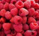 Nawiąże stałą wspóółprace na sezon 2025 na malinę exportową: 125g oraz 200gr punetka, mile widziany certyfikar , odbiór własny....
