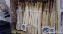 Wiązarka gumkowa Cyklop Elastobinder do pęczkowania szparagów, warzyw, naci i włoszczyzny. ELASTOBINDER® to holenderskie urządzenie...