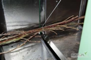 Wiązarka Siebeck JET T-50 HORTIPAK do wiązania sadzonek drzewek i krzewów. Wiązarka do szkółek i sadownictwa Siebeck JET...