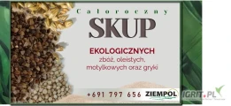 Kupię bobik eko 200 ton. Odbiór z całej Polski zapraszam do kontaktu