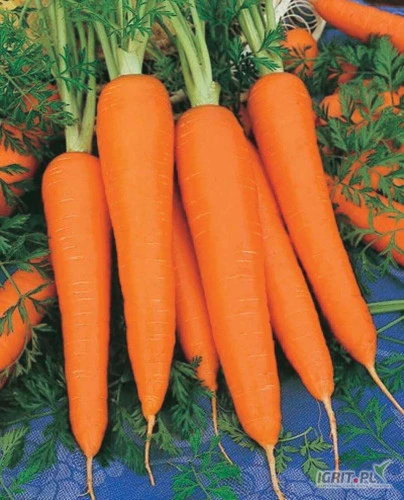 /images/posts/2024/10/1926256/iXazhKutJ8qaPJhzb2lylWCLfPjbrParSj5Mm9bu.jpeg