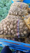 Witam zakupie ziemniaki młode na brudasa w worku 3.5zł za kg zainteresowanych zapraszam

