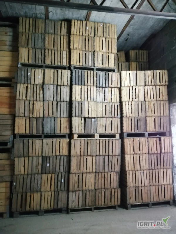 /images/posts/2025/05/2011571/c0W6wcV1InEsUqB9VD06X7ION169lC25AaUEZrNL.jpeg