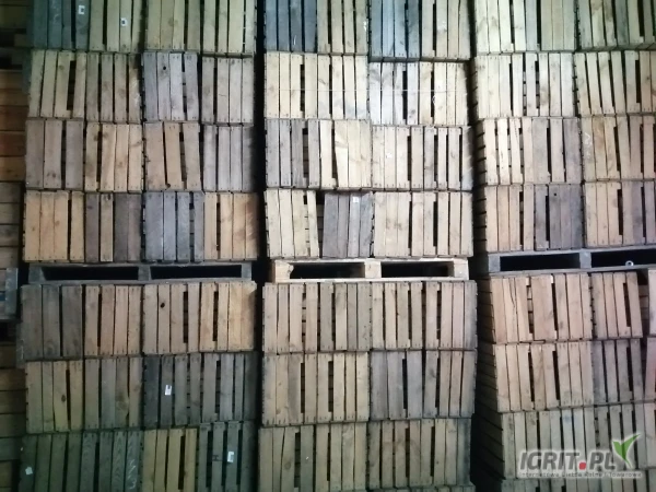 /images/posts/2025/05/2011571/Cn9n0CcfVimp67ZunJDyf5FXIKeO4JGD43C5xte9.jpeg