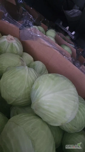 /images/posts/2025/01/1956041/yj0KkBynNe6stdllNPGGNi4IX24fKGGCuNNl7JZn.jpeg