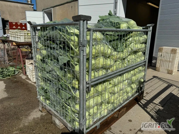 /images/posts/2025/05/2011646/3H3XgHN4WBtSa2G0WGrHf6aKedqDS4tYh8CiBam4.jpeg