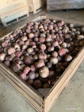 Sprzedam buraki czerwone paszowe, obecnie na stanie około 5 ton, ogólnie ilości wielotonowe, cena luzem 15 gr, worek 15 lub 20 kg 20 gr,...