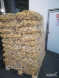 Sprzedam Melody 45+ worek 15-20kg ilości TIRowe i paletowe tel. 601159904