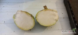 Witam, sprzedam około 50t kalarepy Kossak kaliber 1-4kg czysta I zdrowa w środku. Możliwość mycia. Cena 2,3 zł.