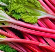 /images/posts/2025/05/2011727/bwElCNU118cdylosfXdy8Chbv2WVbs87b3g3M8ju.jpeg