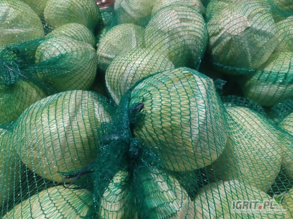 /images/posts/2025/05/2011741/rO5QQ5WE8IHbuZJDmJIeGe4muc4V2GKHksOJSaHf.jpeg