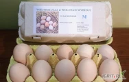 Sprzedam jaja kurze z wolnego wybiegu, karmione zbożem 

