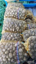 Witam sprzedam 3 tony ziemniaka w 15 kg dzisiaj zainteresowanych zapraszam