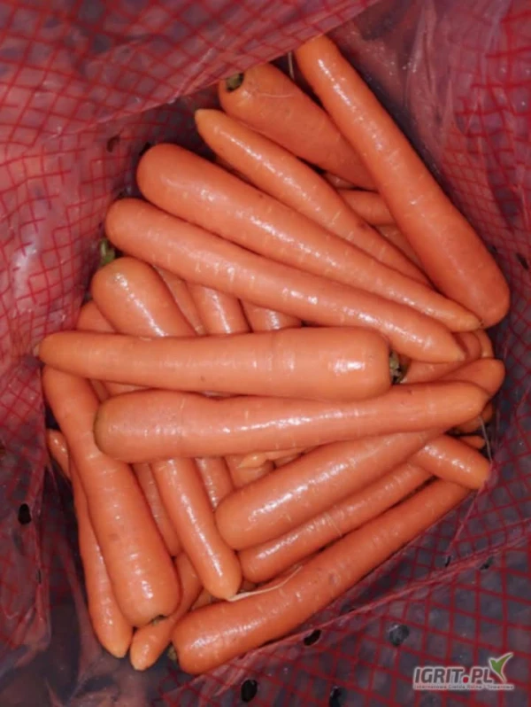 /images/posts/2025/05/2011863/fRCsuxddJZnxmIxa9ZwLu6CERsGBmcVntB2JnBdz.jpeg