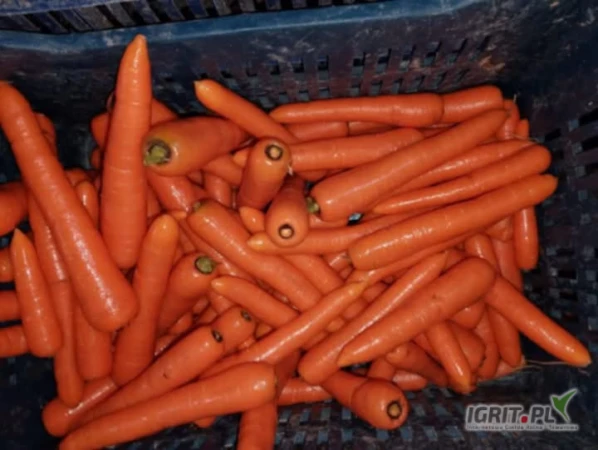 /images/posts/2025/05/2011863/c56FqZBjlzA2PPT2jXHwxZRQooes4JKEAhonuht4.jpeg