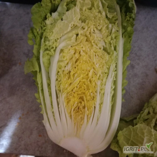 /images/posts/2024/06/1867713/G16CveM51EZ6rJFybUtuxNYUPmijmIBZEbgnU0NC.jpeg