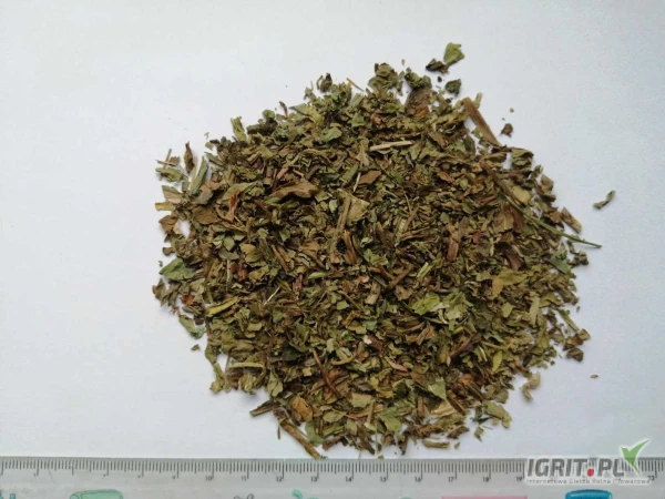 /images/posts/2025/03/1988300/iaci5liniOWtzzjibLQJpzjuRxEBqbaxIk0NNxO4.jpeg