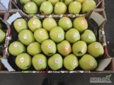 Kupię Jabłka: Golden i Rubinstar/Jonagored Kaliber 7+, Karton 8kg podwójna wytłoczka, na gotowo lub za wage w skrzyni. Cena do...