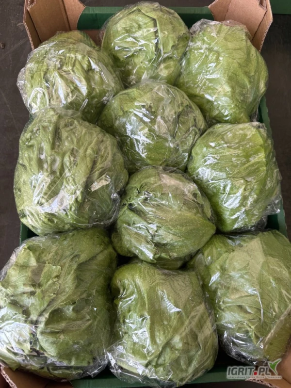 /images/posts/2025/05/2011936/nqcN32xgt44rNHkLwmzwCEYZBm7MVQlkMLuPPdB1.jpeg
