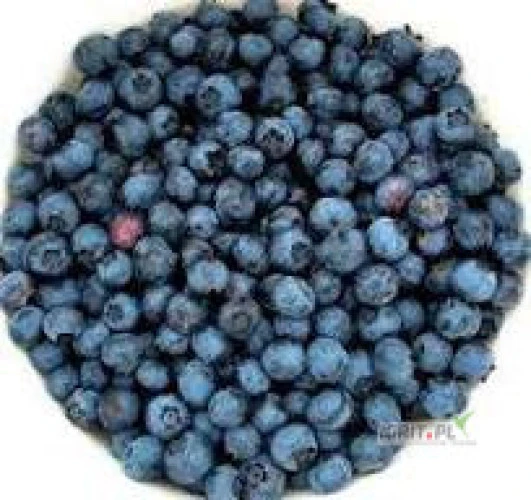 /images/posts/2025/02/1975441/65Yfly8sGabnxETrdTY5AAZns58PEJHdxa56YFkI.jpeg