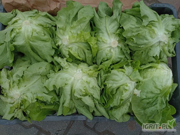 /images/posts/2025/05/2011986/HFxZzvpLqZMu0gaSGhR5GGwj2nDJnJcZTCs8yzFx.jpeg
