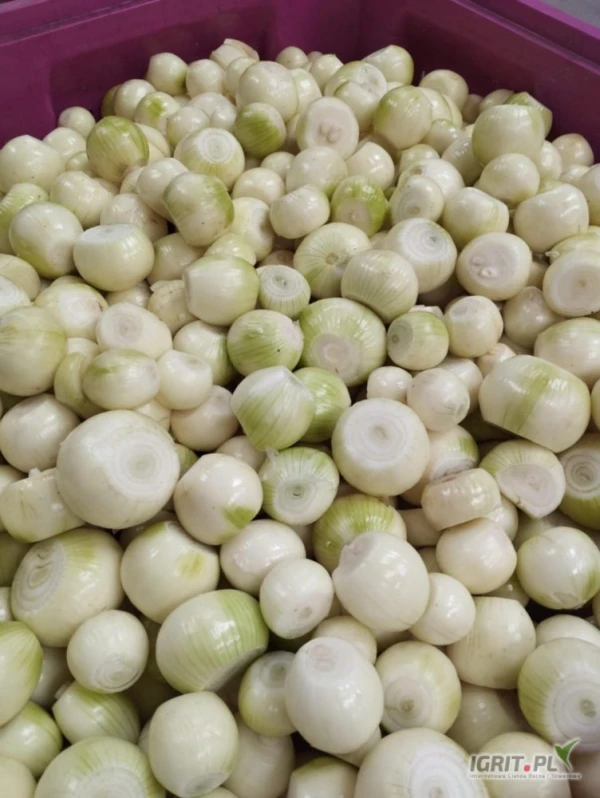 /images/posts/2025/05/2012028/uEiffdNjWO07Ca8JIodyNUJMokdeLERIQM1LxphW.jpeg