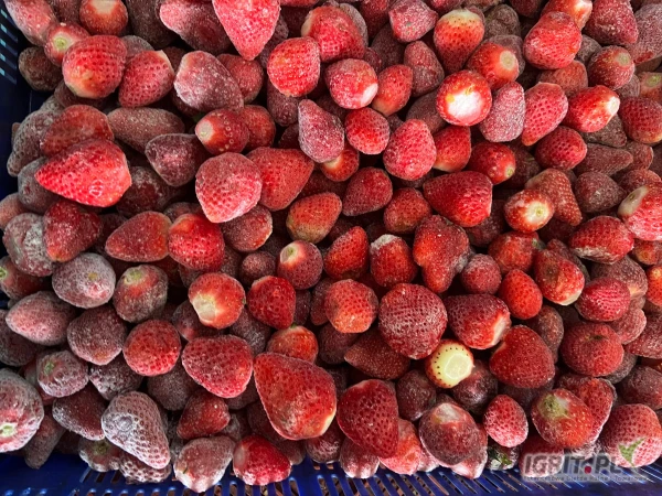 /images/posts/2025/05/2012063/CVsbtLzYqQ508RTcNcXKzeevdLQUxi1x7q8ADtBT.jpeg