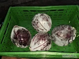 Sprzedam kapustę czerwoną od 1kg do 3,5kg bez pozostałości 