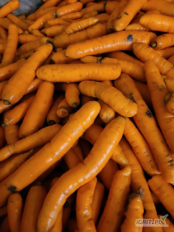 /images/posts/2025/05/2012157/31gr6bUFrTrNPc8fr76DmJL2PQ11LdUIKgdvDKZq.jpeg