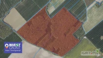 [31,57 ha] przetarg nieograniczony na 10-letnią dzierżawę gruntów rolnych [powiat świdnicki, woj. dolnośląskie] użytek...